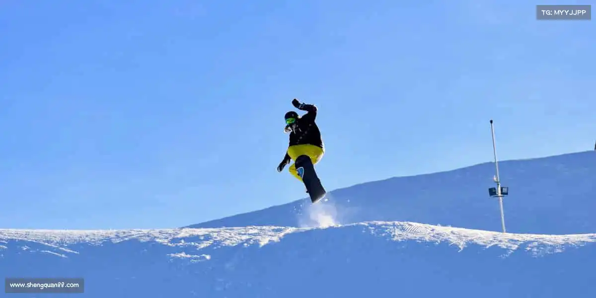 行业领先的理由